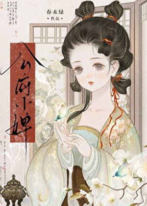 公府小婢