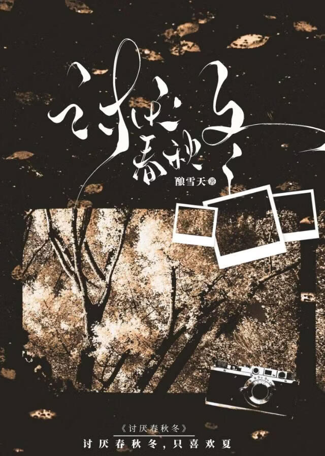 讨厌春秋冬