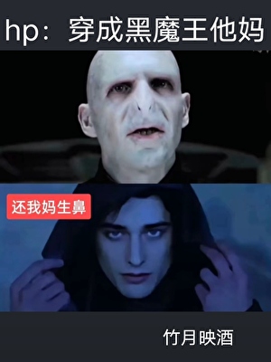 hp：穿成黑魔王他妈