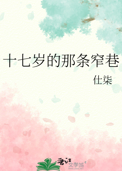 十七岁的那条窄巷